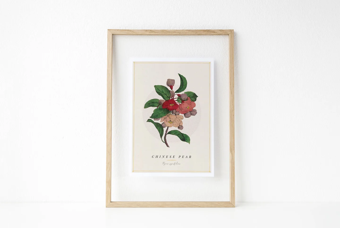 botanical-print-chinese-pear