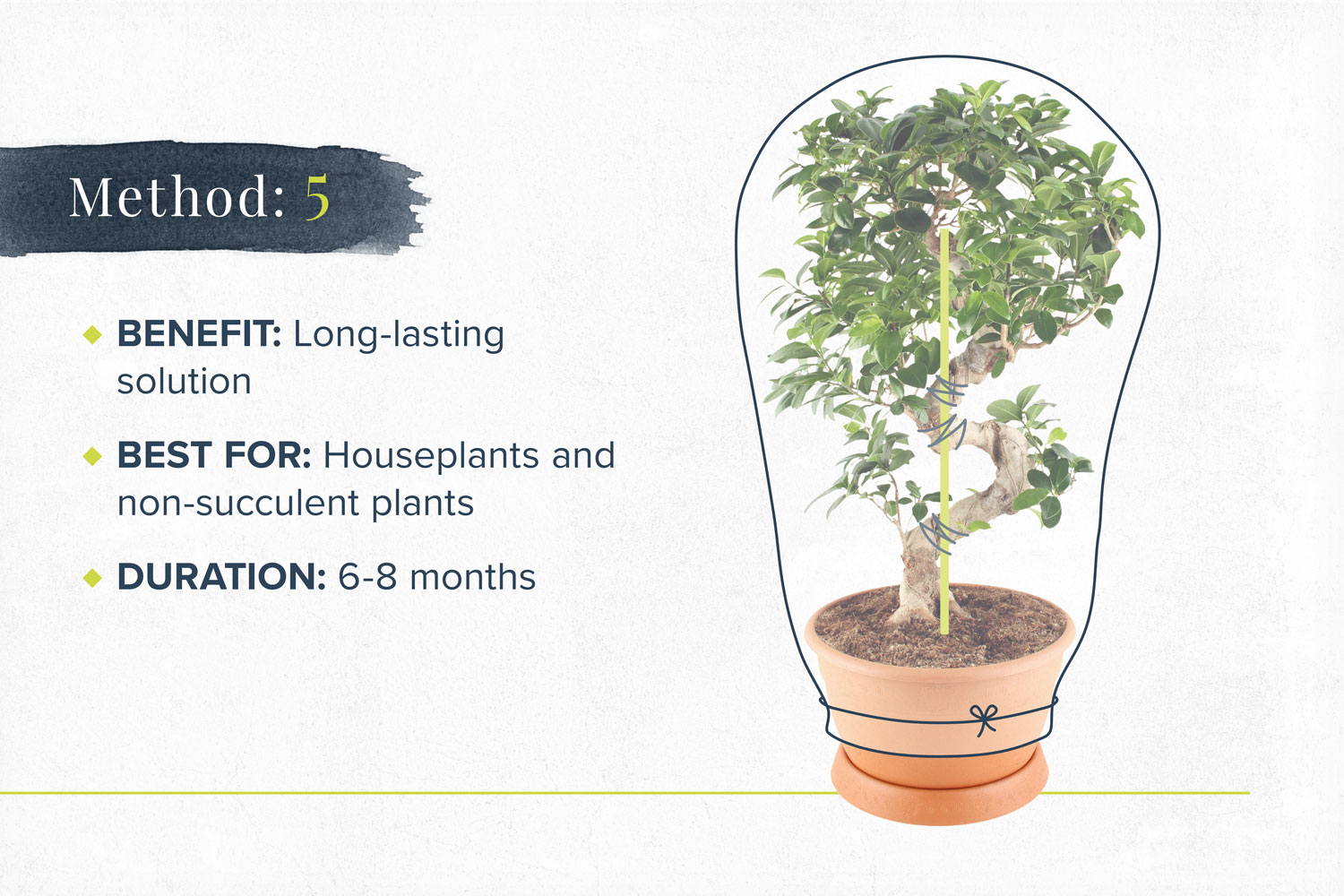 DIY Self-Watering System for Houseplants