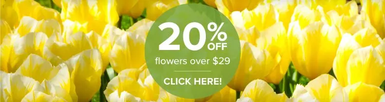 pf-coupon-yellow-flowers