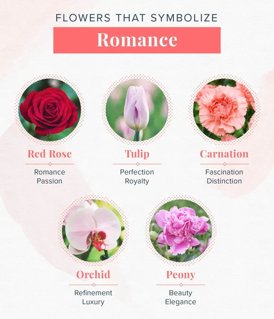 romantic-flowers-meanings