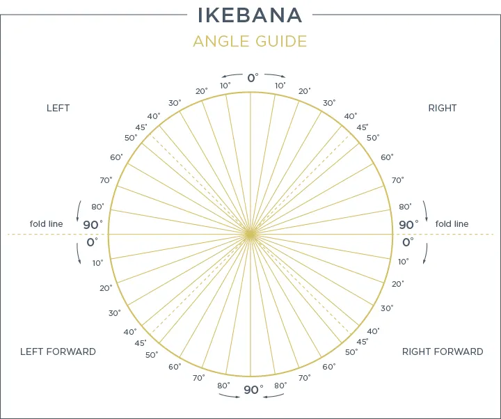 Ikebana: The Art of Flower Arranging