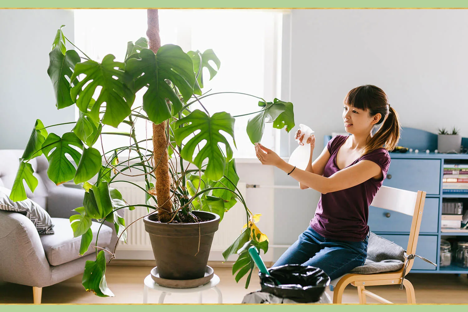 top-plant-care-tips-15-1