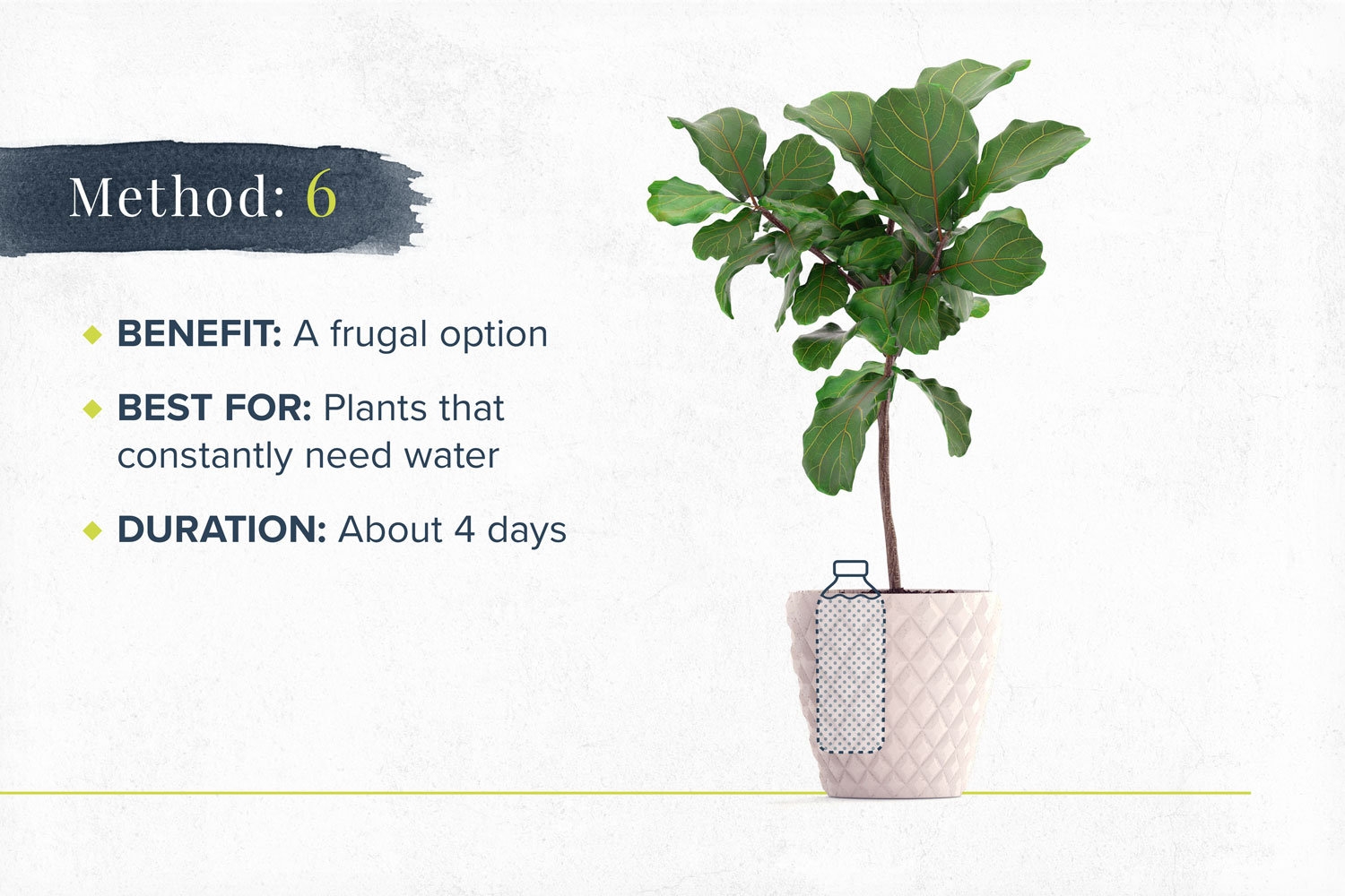 Benefits: Long-lasting solution Best for: Houseplants and non-succulent plants Duration: 6-8 months