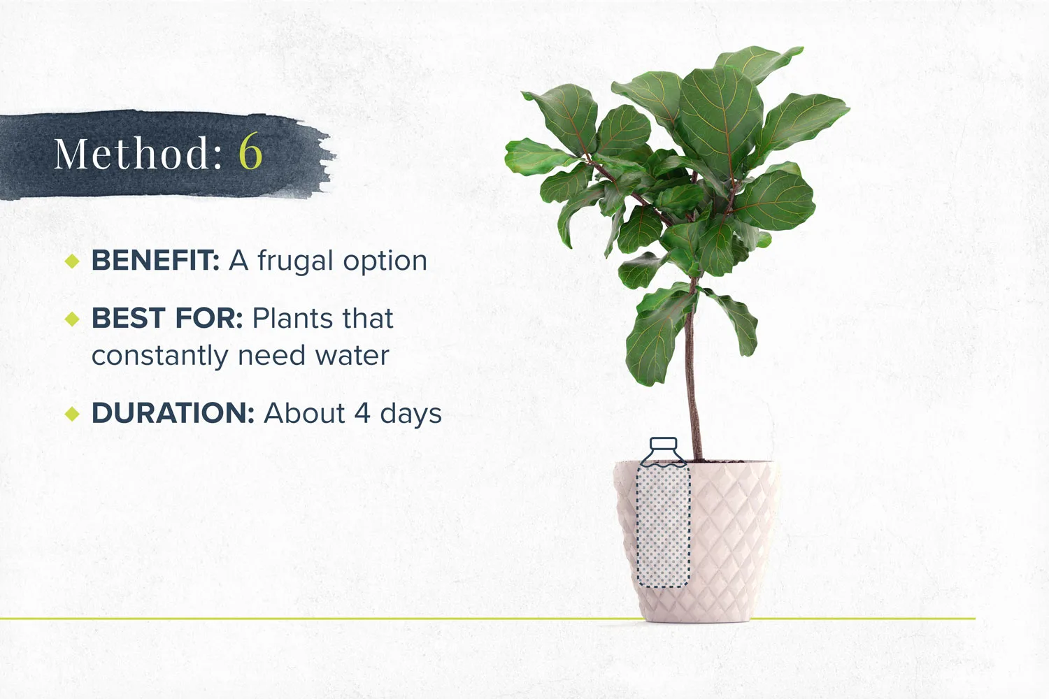 how-to-water-plants-on-vaction-method6-2