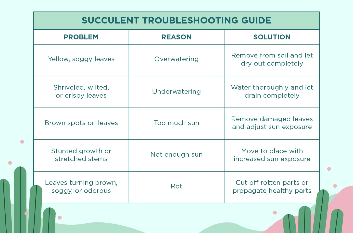 06-succulentcare-troubleshootingguide