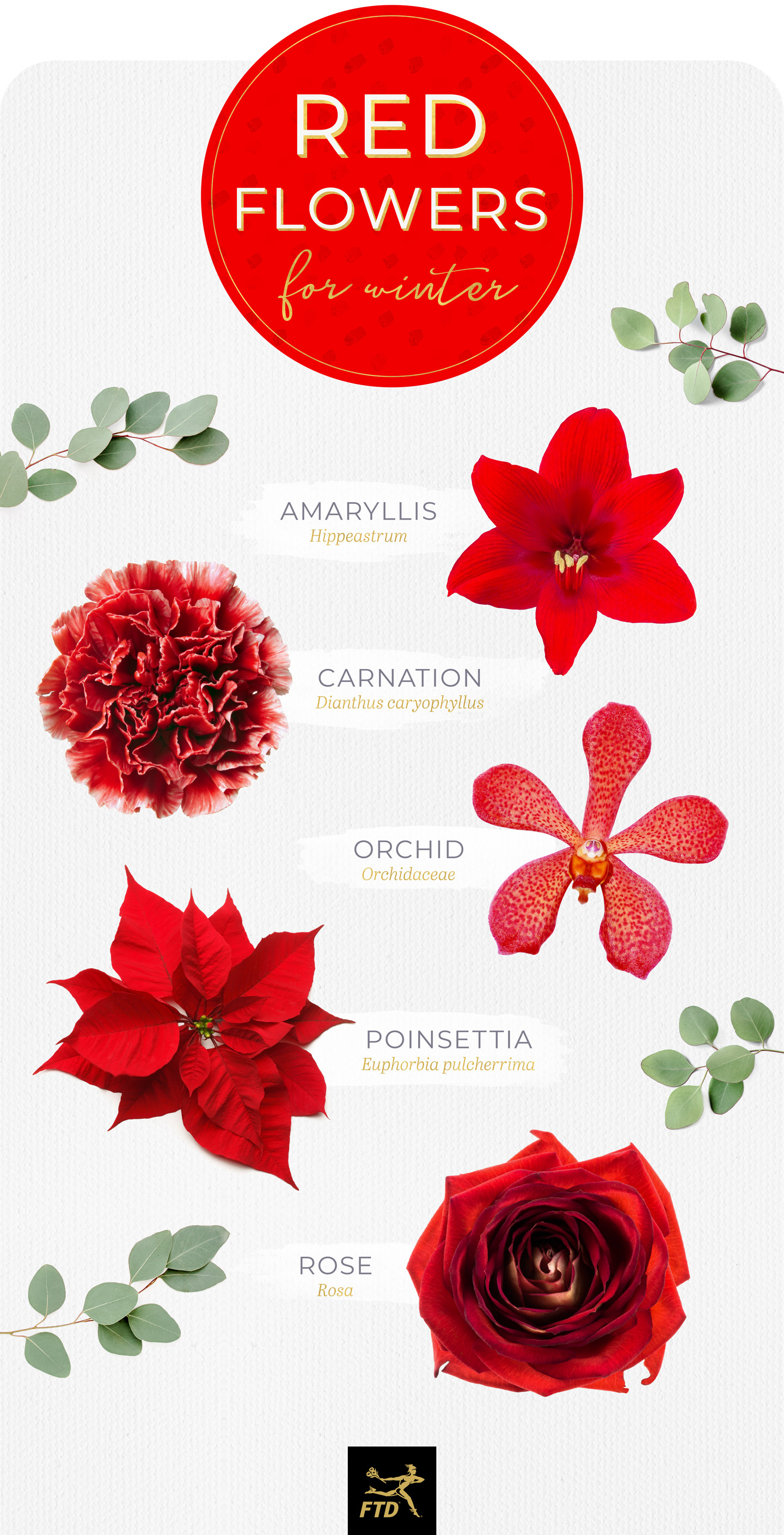 Red Flowers Names