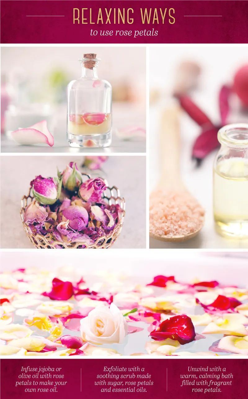 23 Romantic Ways to Use Rose Petals for Valentine’s Day