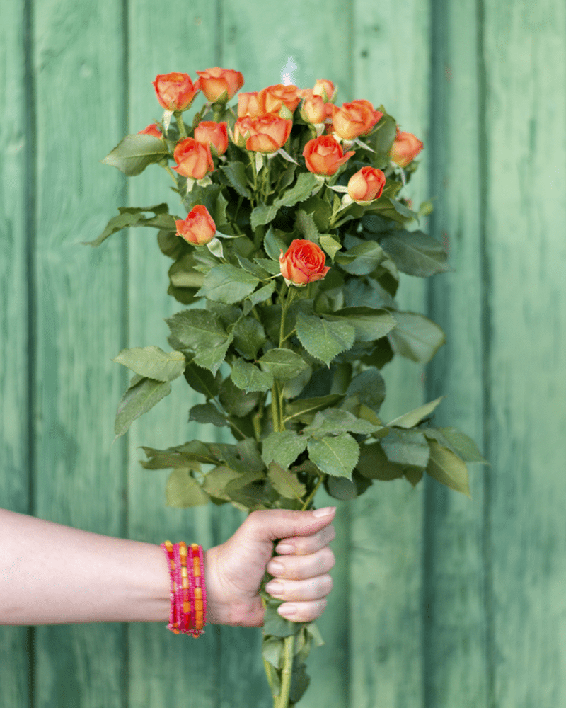 History and Meaning of Orange Roses