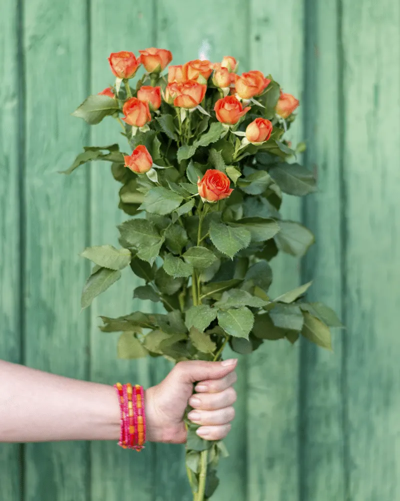 What is the History and Meaning of Orange Roses?