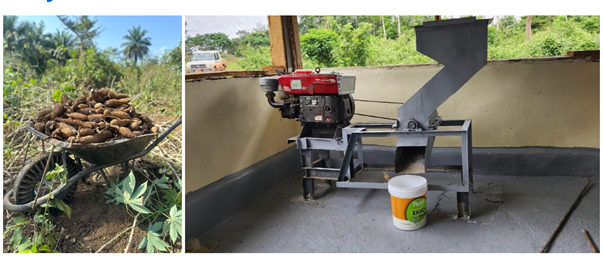 Kawadah Farm: A Second Look at their Growing Impact