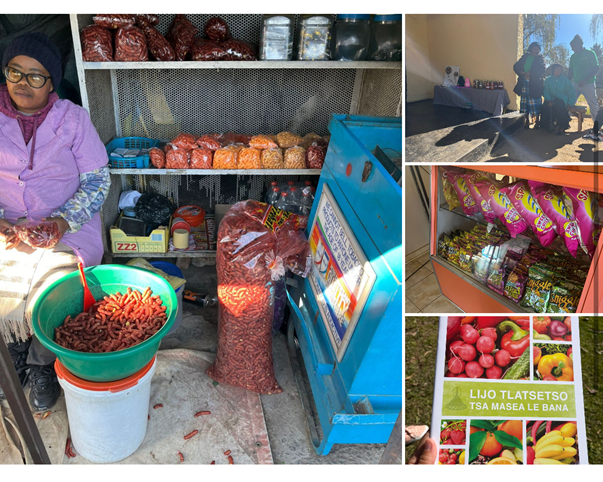 Lesotho's Local Heroes in the Food System