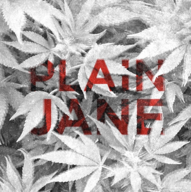 Article image for Plain Jane (Dr. Fresch Remix) by A$AP Ferg