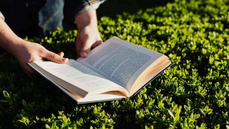 El arte como testigo del evangelio: Un cristiano indio y su poesia