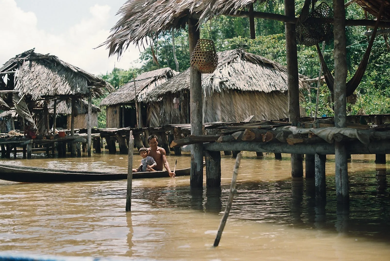 Hero blog image for <a href="/content/un-llamado-de-la-selva">vista</a>