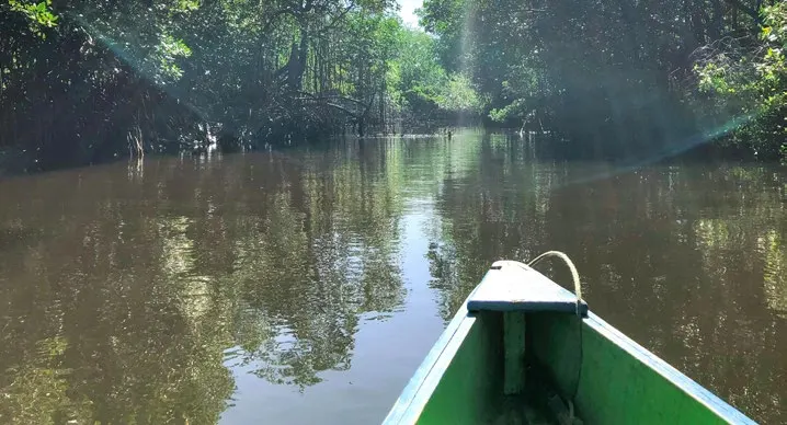 ¡Pasa a las amazonas!
