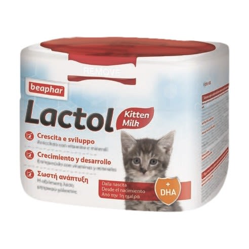 image - 920411648 - Latte in polvere per gattini appena nati, sostituisce il latte materno e fornisce proteine di alta qualità facilmente digeribili per l'energia necessaria. - 0007100_2.jpg