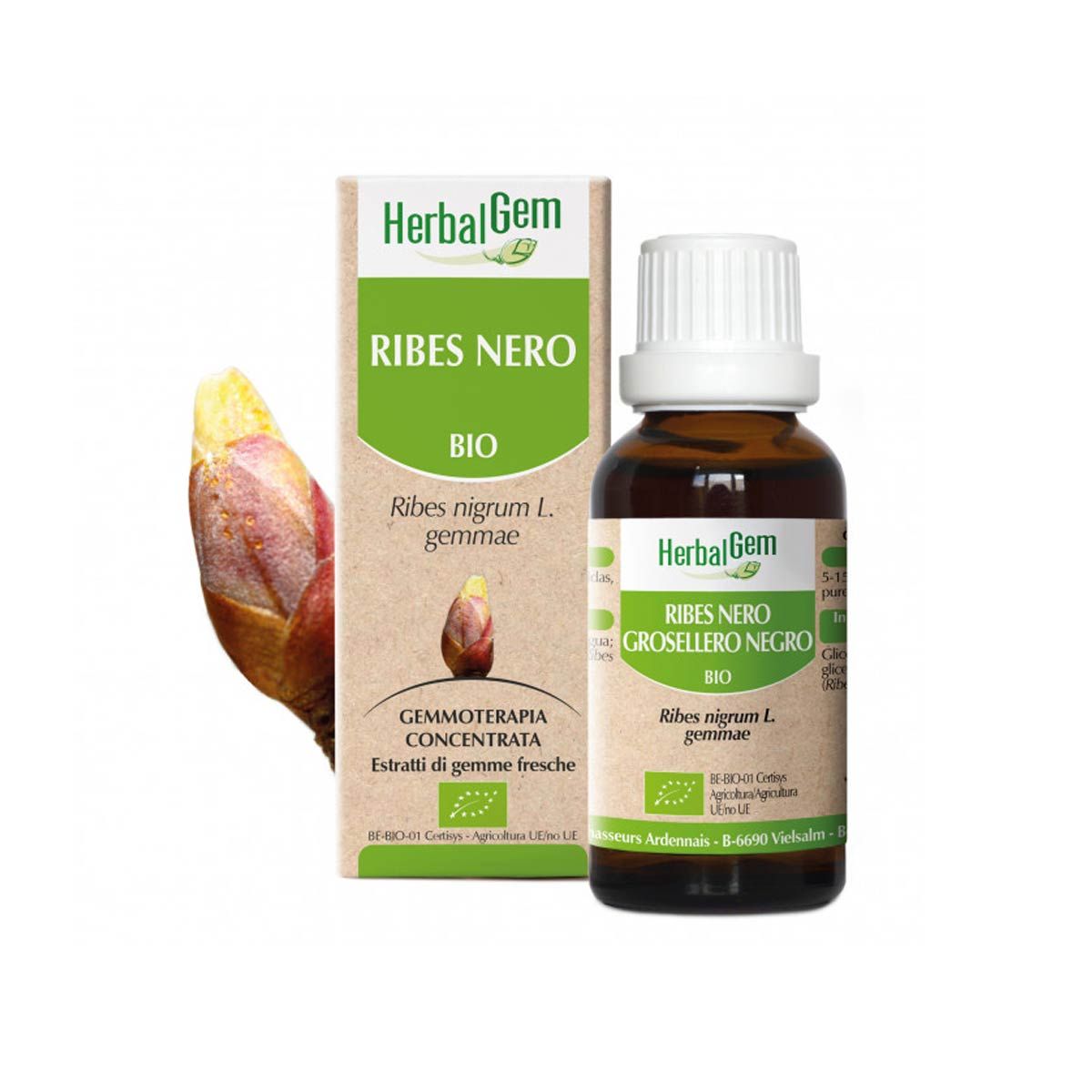 Herbalgem Ribes Nero Bio Integratore Articolazioni 15ml