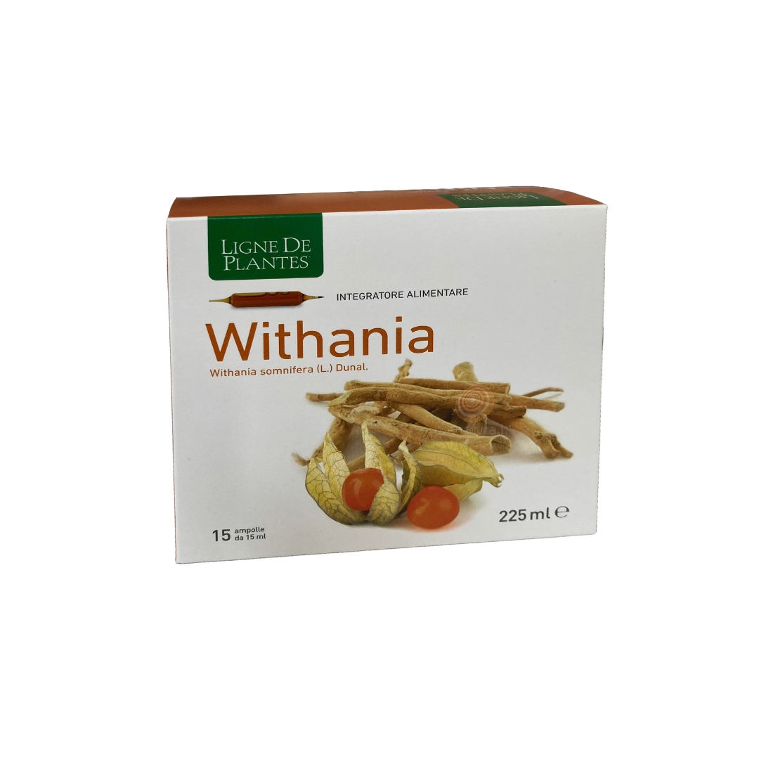 image - 941843094 -  - 4865334_1.jpg