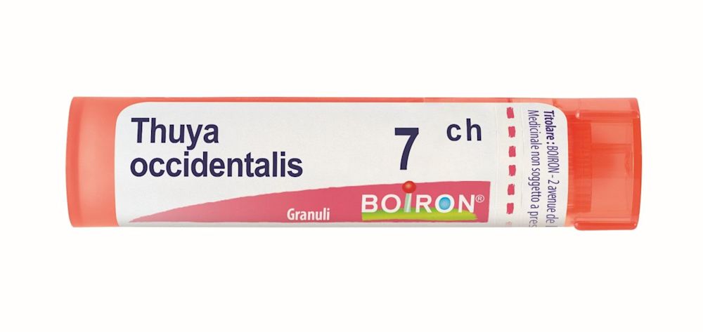 800025405 - Boiron Thuya Occidentalis 7CH Granuli - 7886746_1.jpg