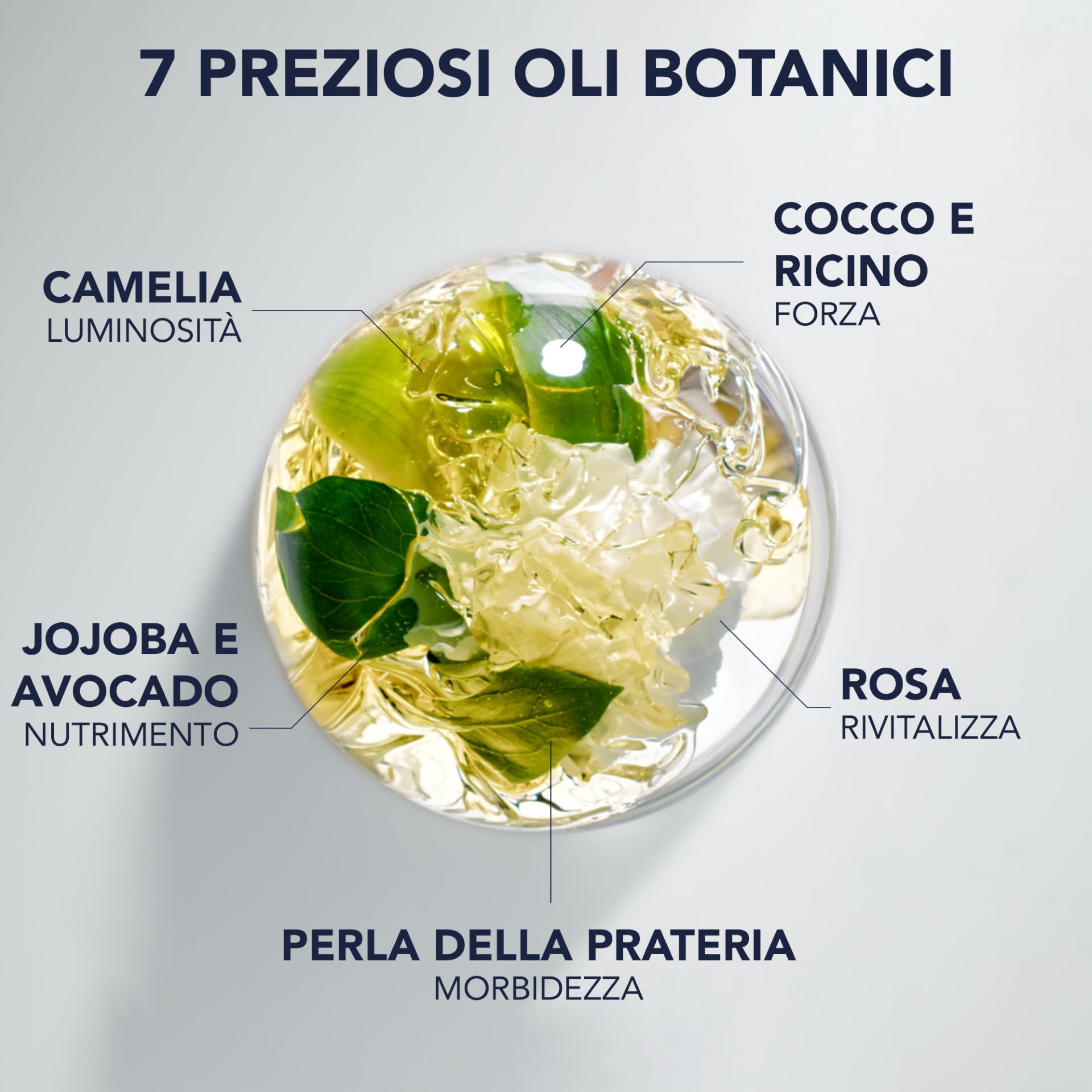 951122973 - PHYTO ELIXIR OLIO SUBLIMANTE DISCIPLINANTE 100 ML - 4843632_3.jpg