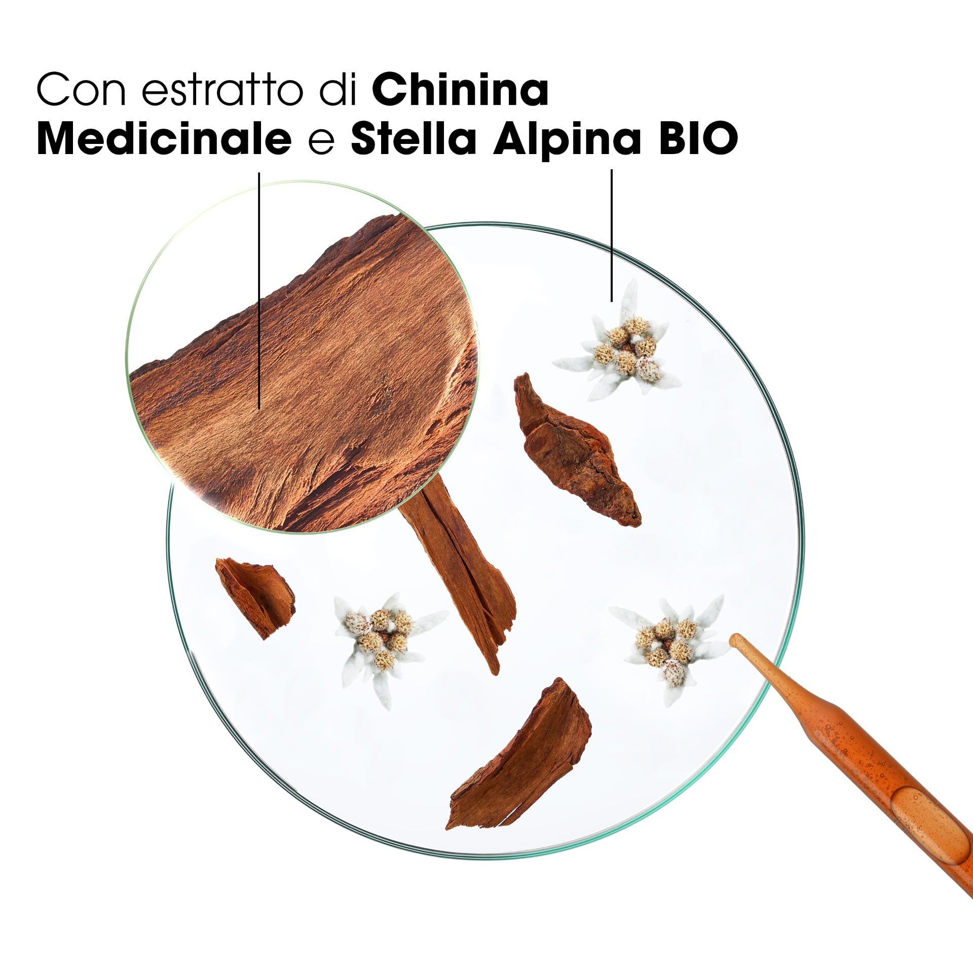 image - 981971070 - shampoo chinina e stella alpina    descrizione - 4707963_9.jpg