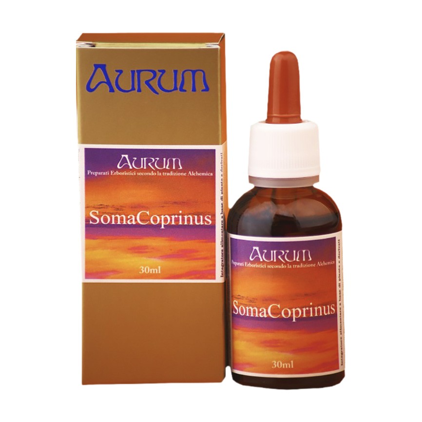 image - 934434945 - Integratore liquido a base di Coprinus comatus, utile per il benessere intestinale e la gestione dello stress. - 7887616_2.jpg