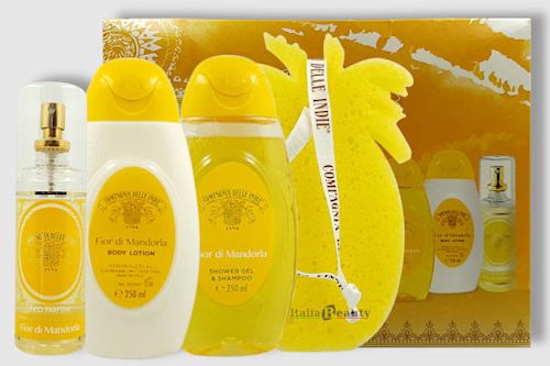 907982696 -  - 4743979_1.jpg