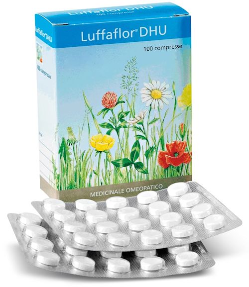 800544759 - LUFFAFLOR 100 COMPRESSE - 7883237_1.jpg