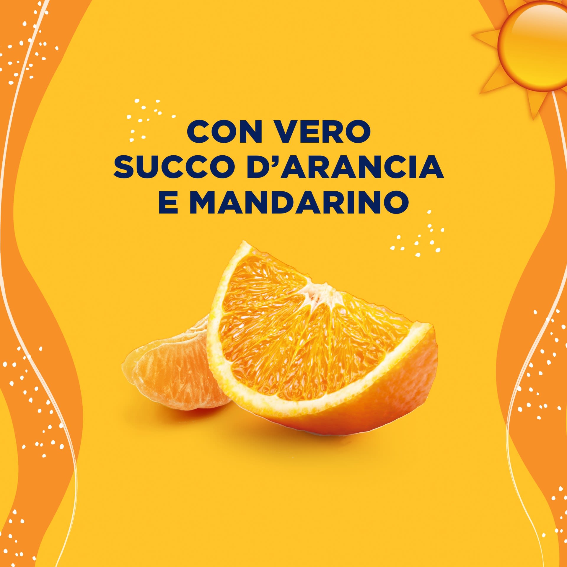 image - 934791587 - POLASE PLUS 36 BUSTE - 7860955_10.jpg