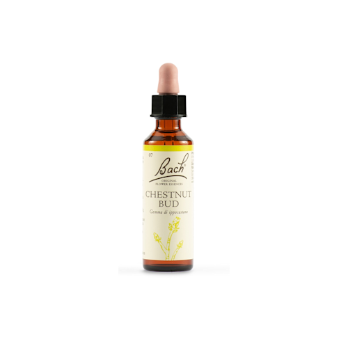 942859188 - CHESTNUT BUD BACH ORIG 20 ML - 4705217_1.png