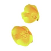 image - 900119215 - Soluzione idroalcolica di Eschscholtzia Californica da 50 ml, utile per favorire il rilassamento e il sonno in caso di stress. - 4874693_2.jpg