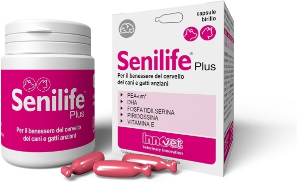 Senilife Plus Funzionalità Cognitive Cani E Gatti 30 Capsule