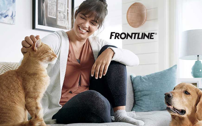 Frontline Cover