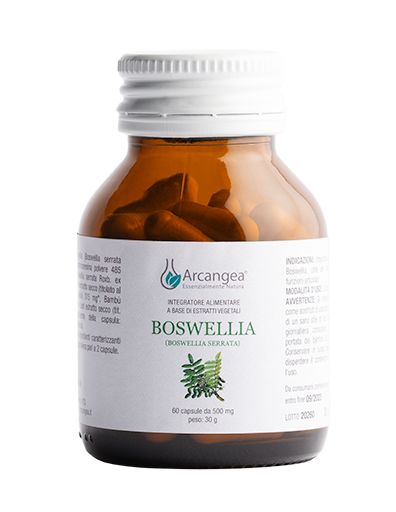 974157467 - Boswellia Integratore articolazioni 60 capsule - 4731130_2.jpg