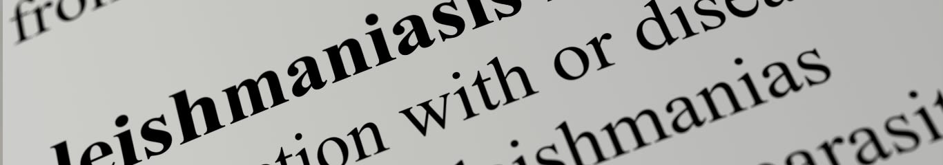 Leishmaniosi canina: proteggi il tuo amico a quattro zampe dai pappataci