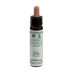 image - 906020146 - Flacone da 10 ml di Elm, fiore di Bach, indicato per chi si sente sopraffatto dalle responsabilità; si consiglia di assumere 4 gocce in mezzo bicchiere d'acqua, 4 volte al giorno. - 4874925_2.jpg