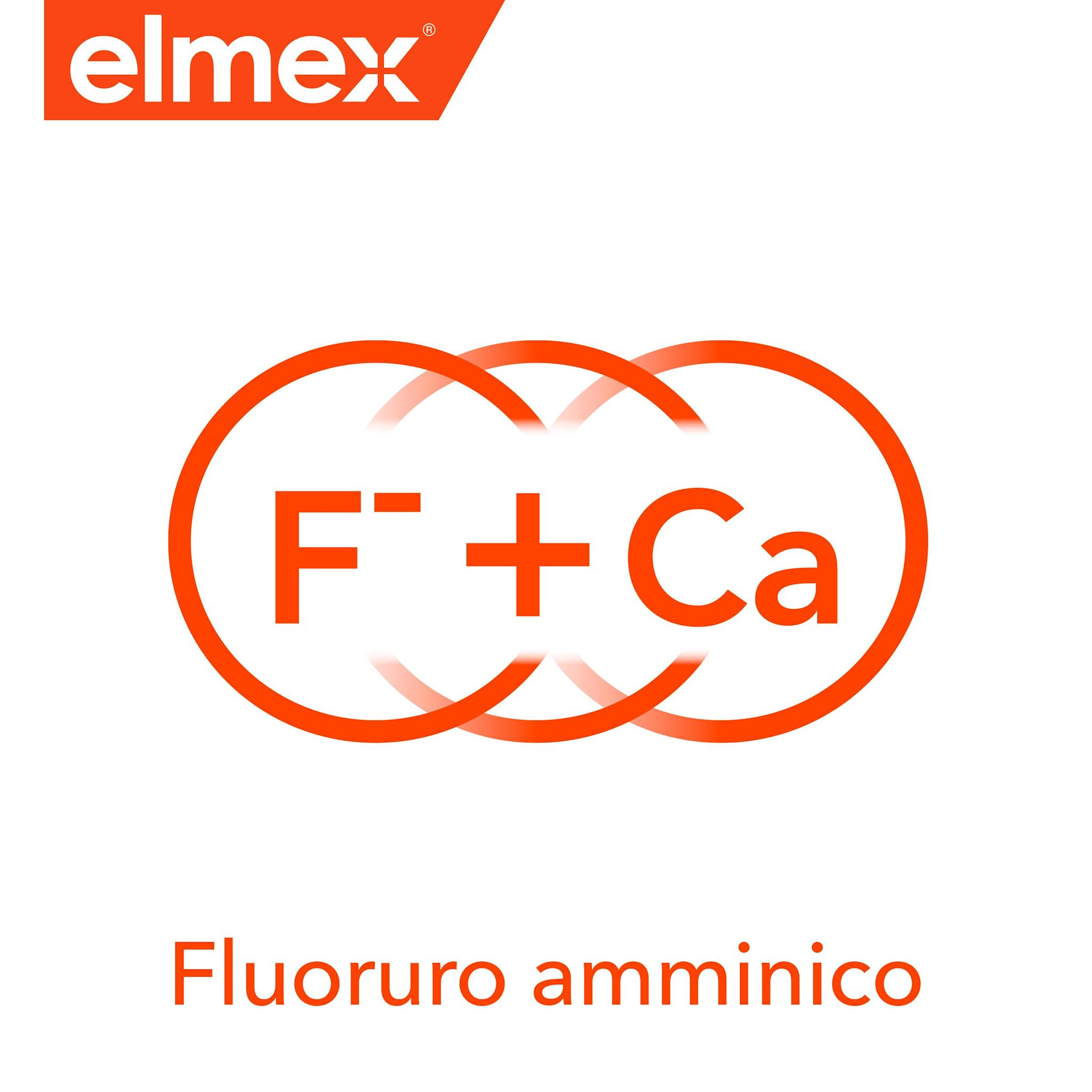image - 973145889 - Elmex dentifricio Protezione Carie 2x75ml - 7893301_3.jpg
