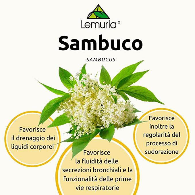 image - 926579057 - Lemuria Et Sambuco Integratore Alimentare Gocce 30ml - 4720945_2.jpg