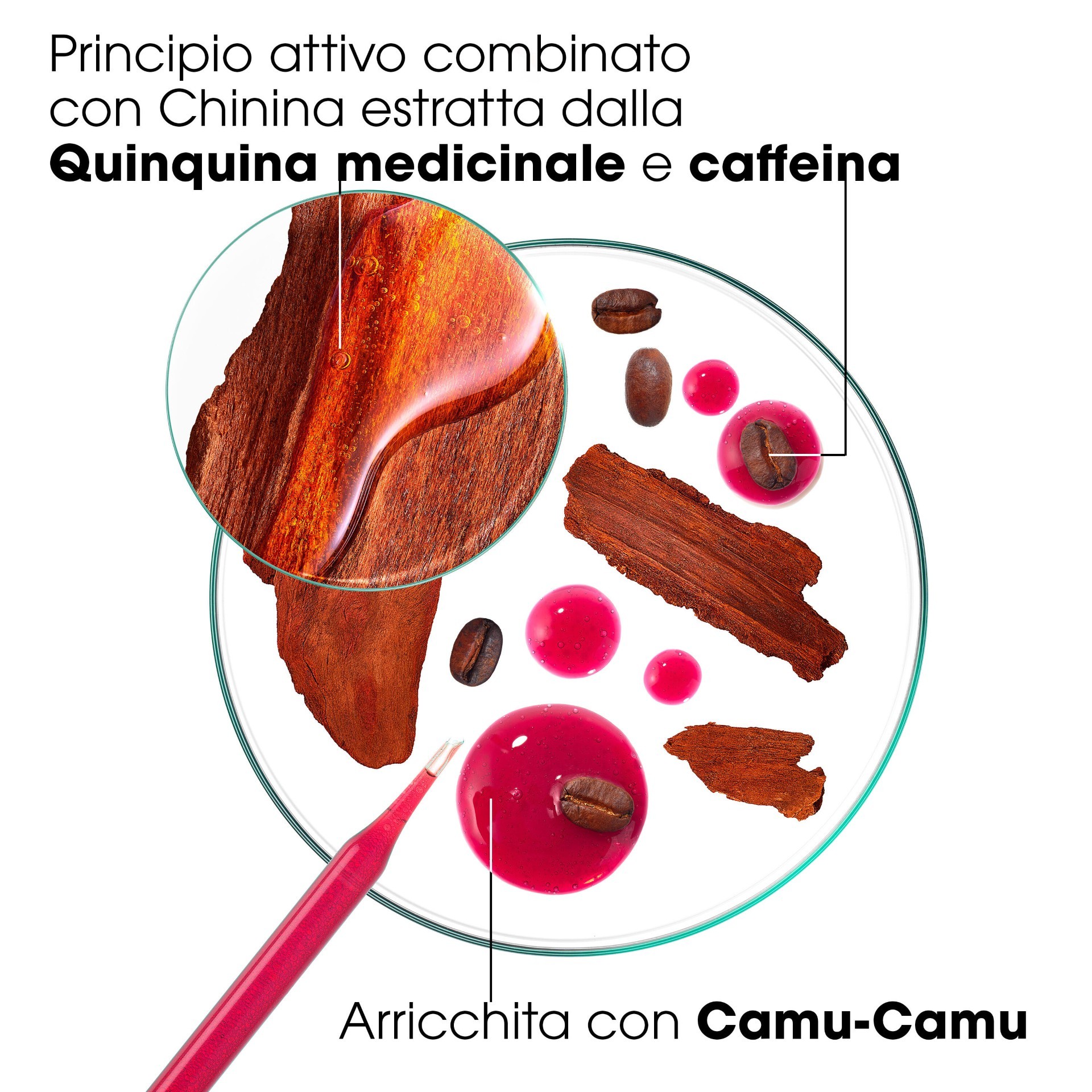 image - 950026260 -  - 4819681_5.jpg