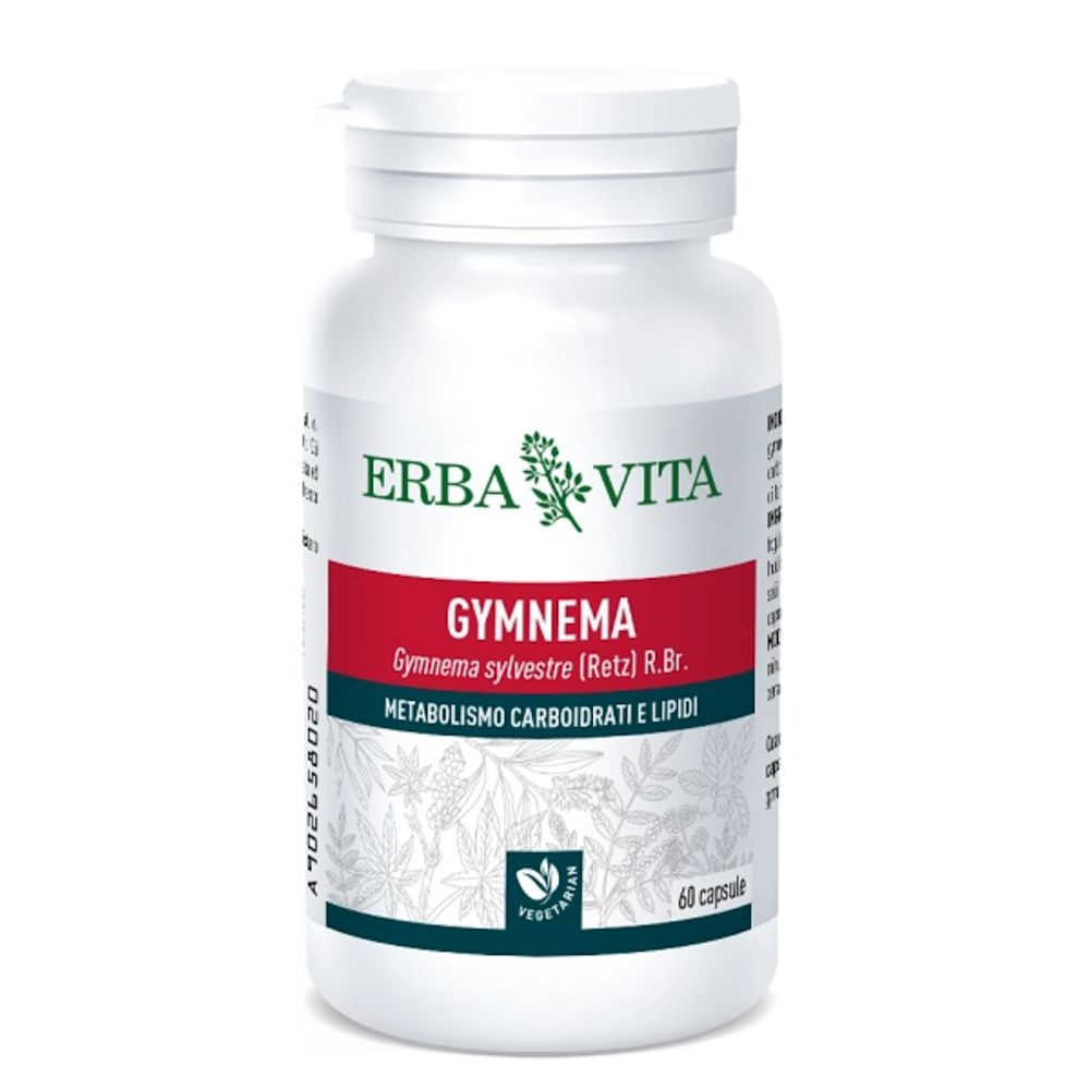 image - 902658020 - GYMNEMA SYLVESTRE 60 CAPSULE 350 MG - 4832081_1.jpg
