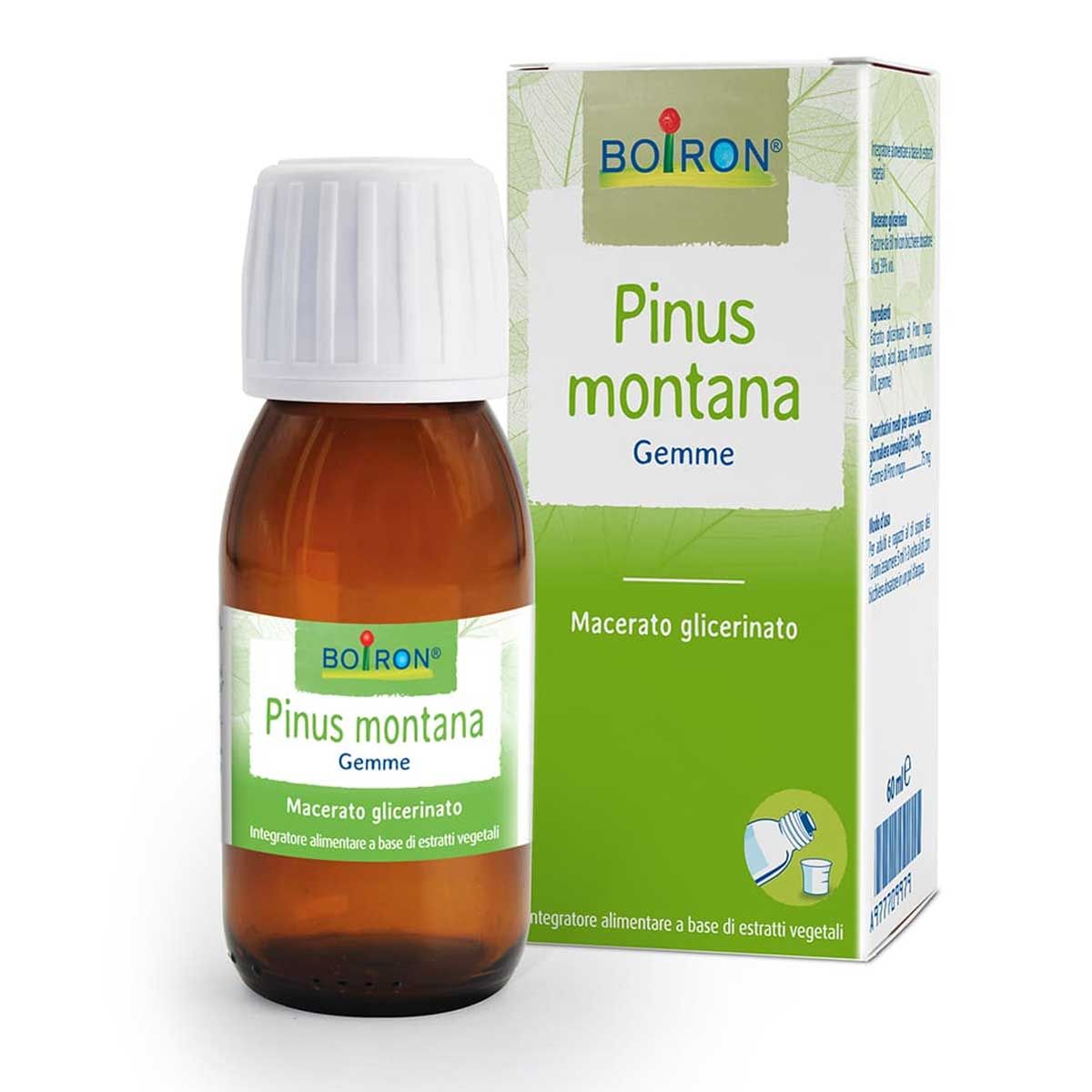 Boiron Pinus Montana Macerato Glicerico 60ml