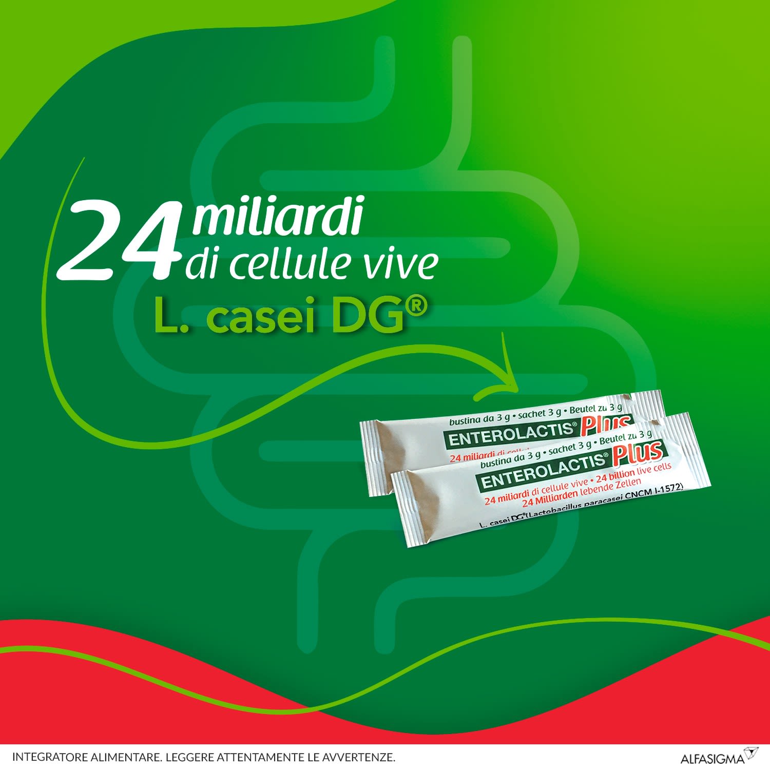 986129005 - ENTEROLACTIS PLUS 14 BUSTINE - 4746261_5.jpg