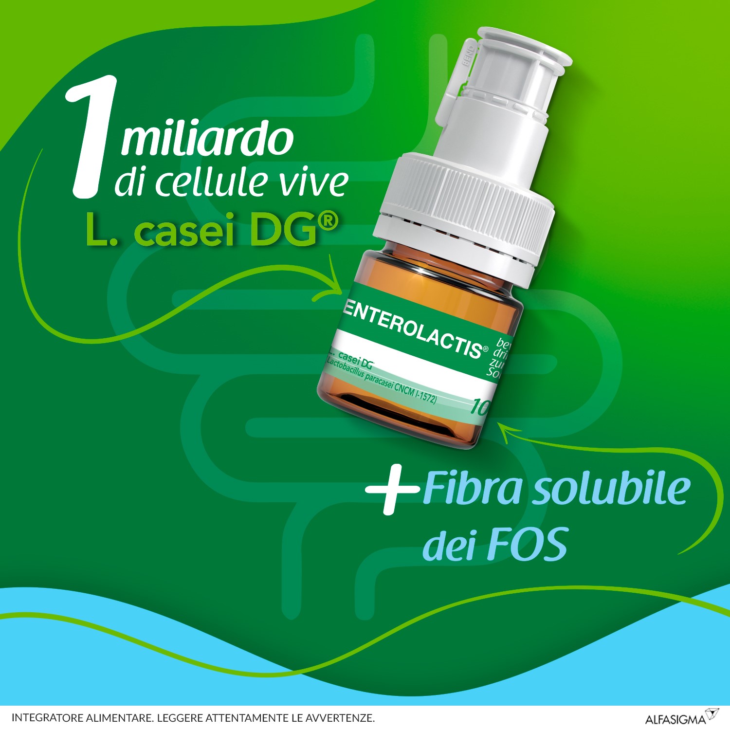 986329377 - ENTEROLACTIS FIBRA LIQUIDA 12 FLACONCINI X 10 ML - 4764360_5.jpg