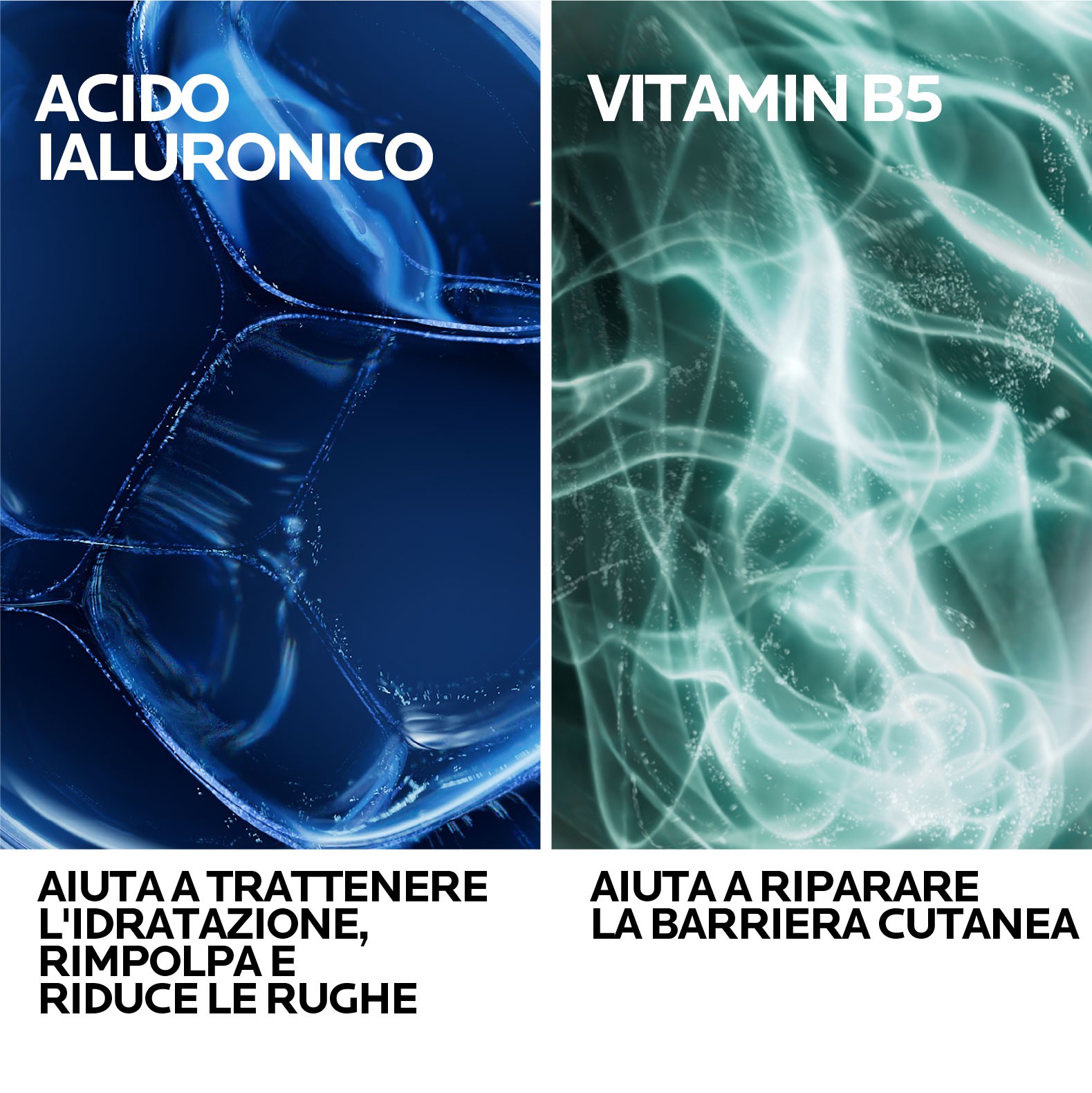 image - 951462934 -  - 4856957_5.jpg