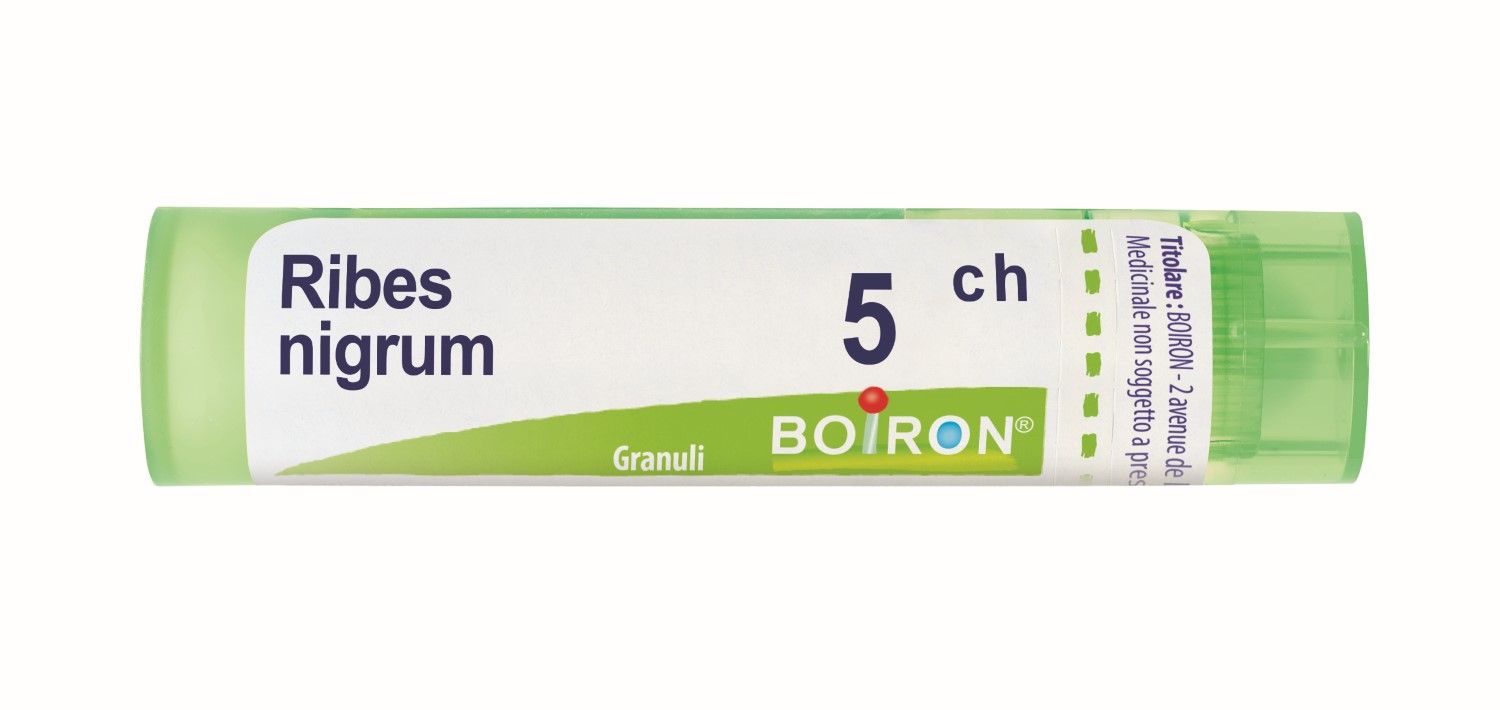 Boiron Ribes Nigrum 5ch Granuli