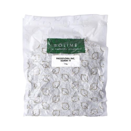 902669338 - PASSIFLORA INCARNATA SOMMITA' 1 - 4767167_1.jpg