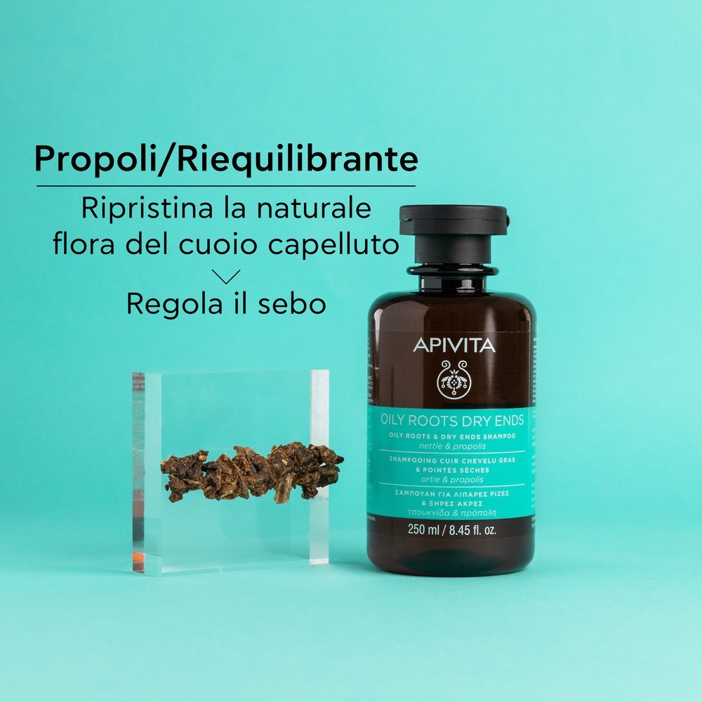 image - 979091701 - APIVITA SHAMPOO OIL ROOTS 250 ML/19 - 4735214_6.jpg