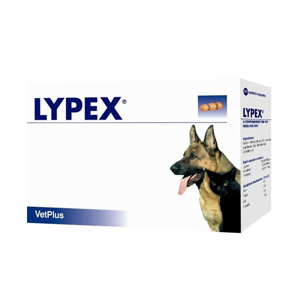image - 976014504 - Lypex Integratore pancreatico cani e gatti 60 capsule - 0005253_1.jpg