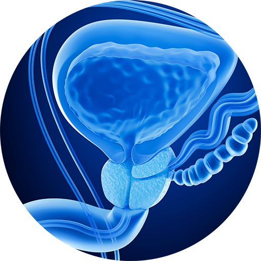 image - prostamol img