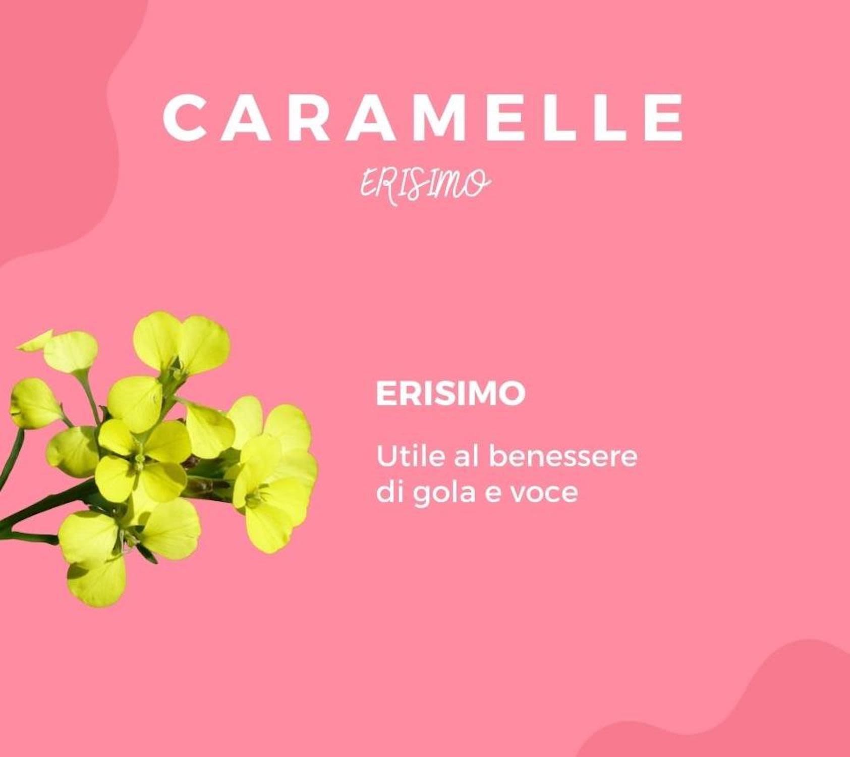 984145060 - Caramelle Erisimo Bio 100g - 4740437_2.jpg